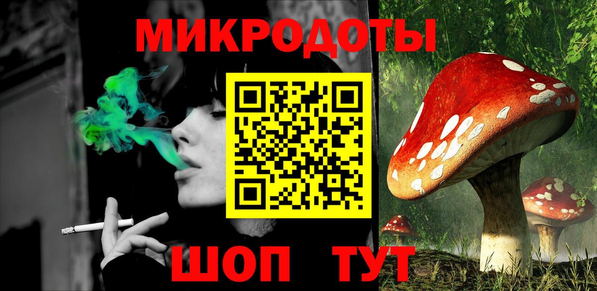 Котовск  Псилоцибиновые грибы мухоморы  купить закладку  Псилоцибиновые грибы мицелий  Вход с VPN 